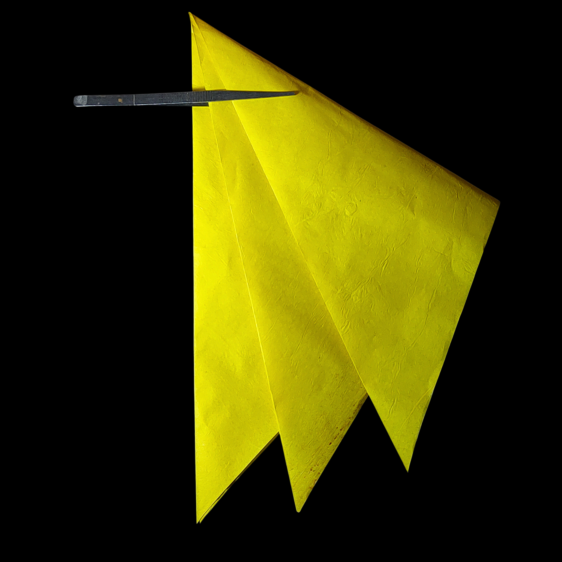 Double tissue YELLOW